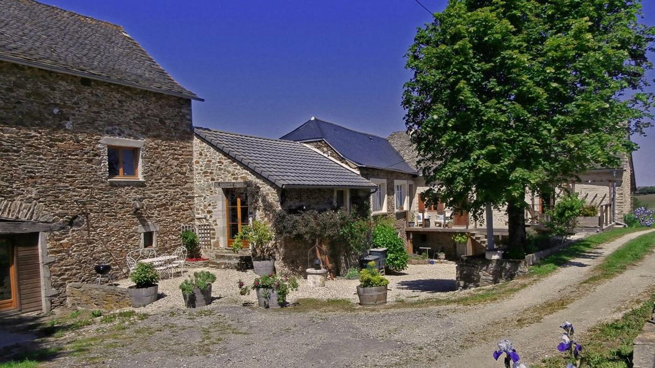 Domaine De Lasfonds Rieupeyroux Kültér fotó